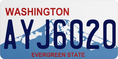 WA license plate AYJ6020