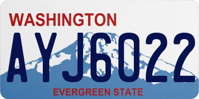 WA license plate AYJ6022