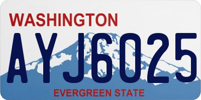 WA license plate AYJ6025