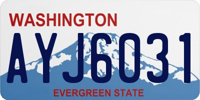 WA license plate AYJ6031