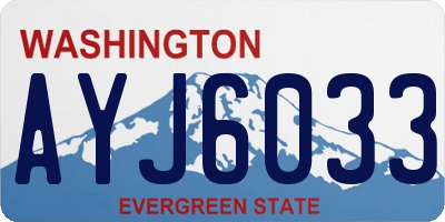 WA license plate AYJ6033