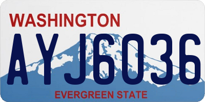 WA license plate AYJ6036