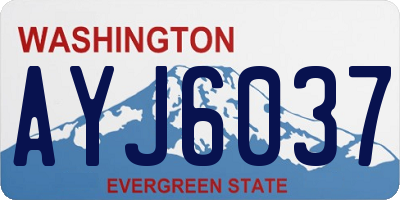 WA license plate AYJ6037