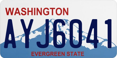 WA license plate AYJ6041
