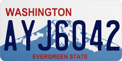 WA license plate AYJ6042