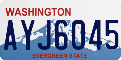 WA license plate AYJ6045