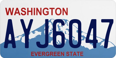 WA license plate AYJ6047