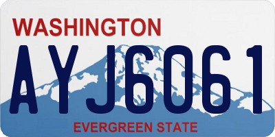 WA license plate AYJ6061