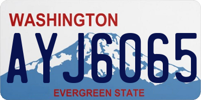 WA license plate AYJ6065