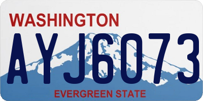 WA license plate AYJ6073