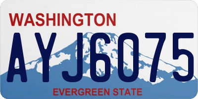 WA license plate AYJ6075