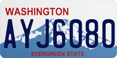 WA license plate AYJ6080