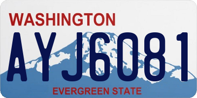 WA license plate AYJ6081