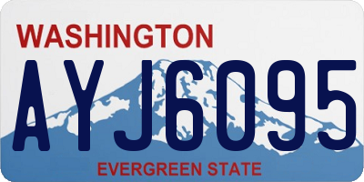 WA license plate AYJ6095