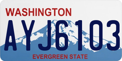 WA license plate AYJ6103