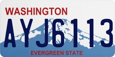 WA license plate AYJ6113