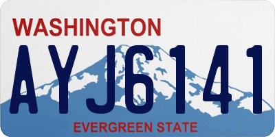 WA license plate AYJ6141