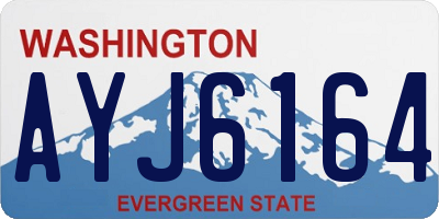 WA license plate AYJ6164