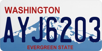 WA license plate AYJ6203