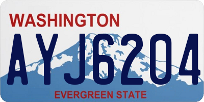 WA license plate AYJ6204