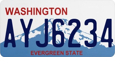 WA license plate AYJ6234