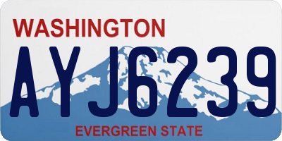 WA license plate AYJ6239