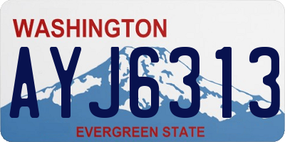 WA license plate AYJ6313