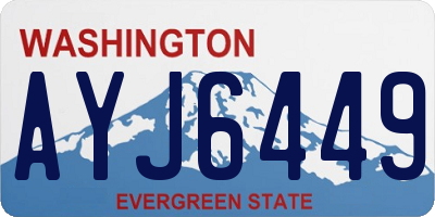 WA license plate AYJ6449