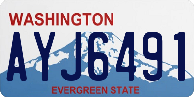 WA license plate AYJ6491