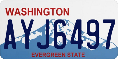 WA license plate AYJ6497