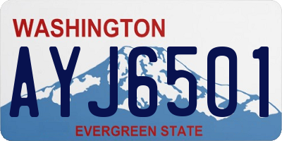 WA license plate AYJ6501