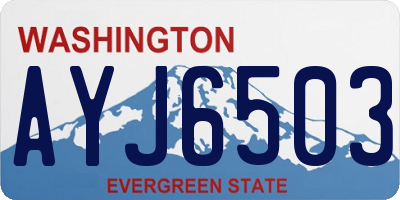 WA license plate AYJ6503