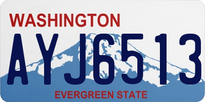 WA license plate AYJ6513