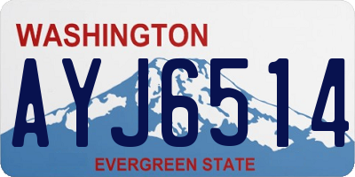 WA license plate AYJ6514