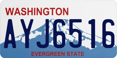 WA license plate AYJ6516