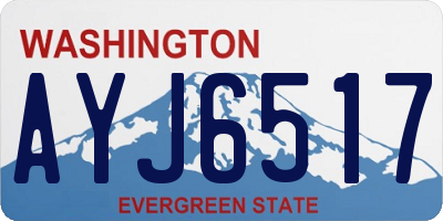 WA license plate AYJ6517