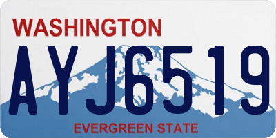 WA license plate AYJ6519