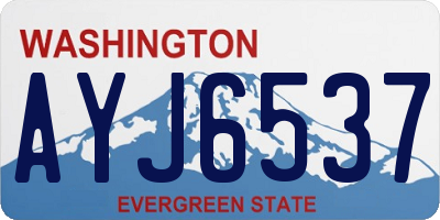WA license plate AYJ6537