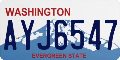 WA license plate AYJ6547