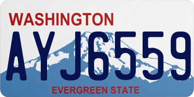 WA license plate AYJ6559