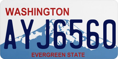 WA license plate AYJ6560