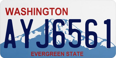 WA license plate AYJ6561