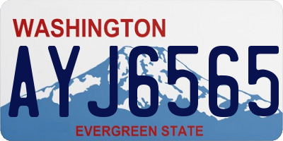 WA license plate AYJ6565