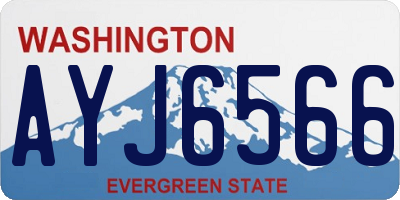 WA license plate AYJ6566