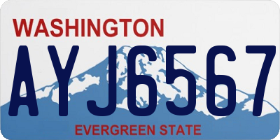 WA license plate AYJ6567