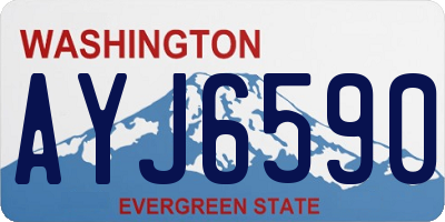 WA license plate AYJ6590