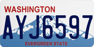 WA license plate AYJ6597