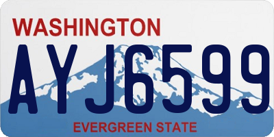 WA license plate AYJ6599