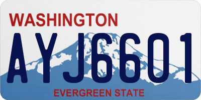 WA license plate AYJ6601