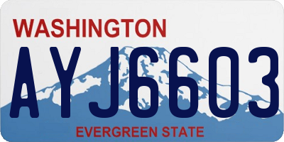 WA license plate AYJ6603